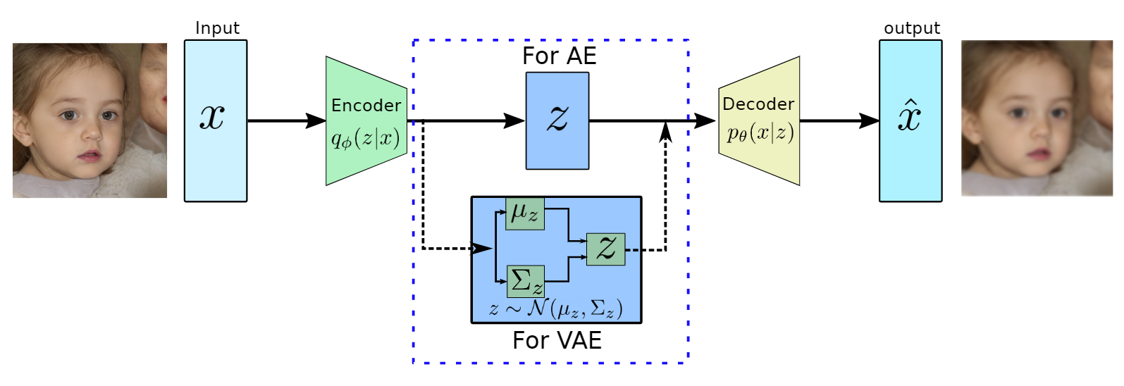 Figure 1: Architecture comparison between AE and VAE.
